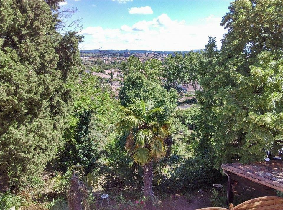 Gite Avec Vue Imprenable Sur La Cite Villa Carcassonne Bagian luar foto